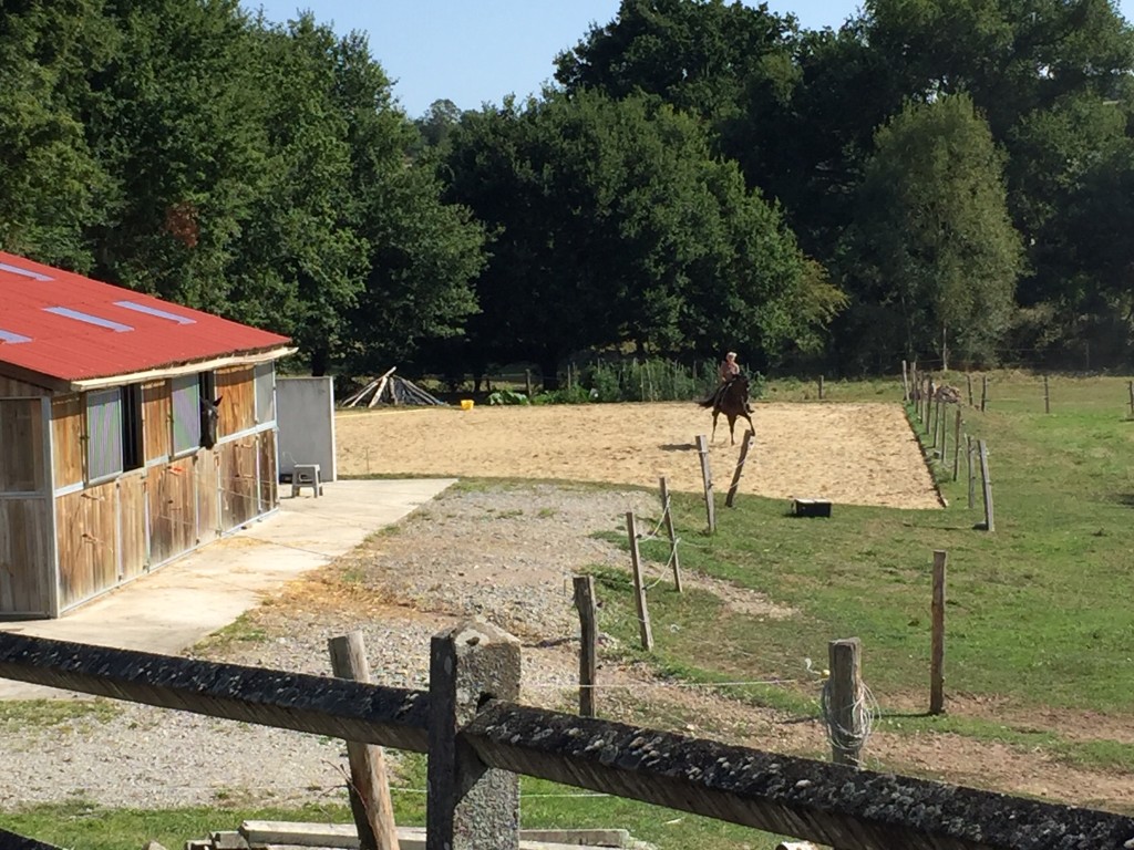 Vue 19 de Propriété équestre en pleine nature