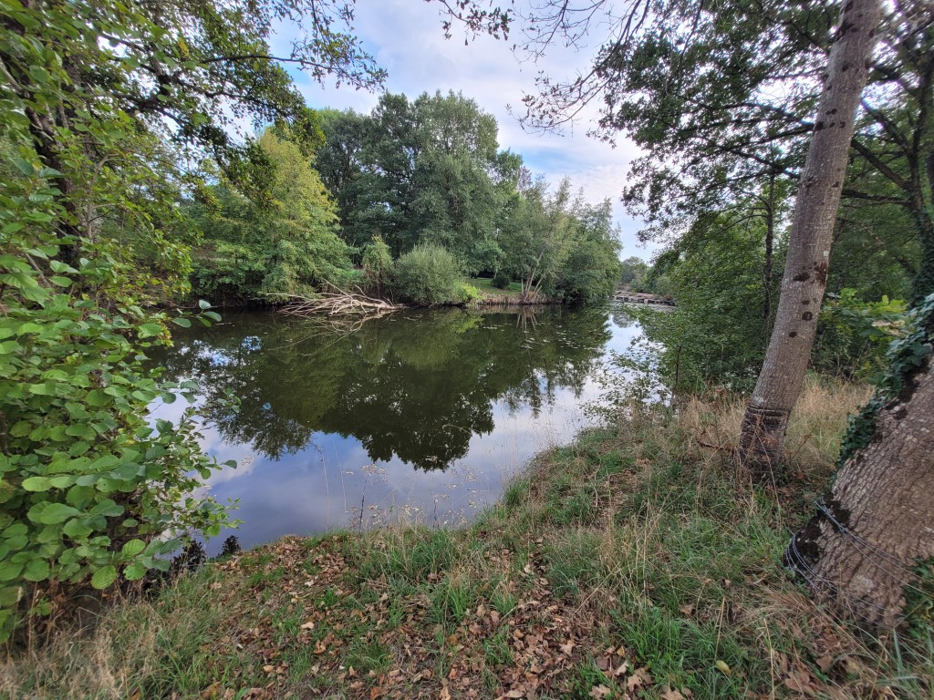 Vue 18 de Propriété équestre en pleine nature