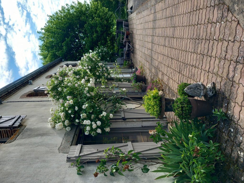 Vue 3 de Propriété équestre en pleine nature