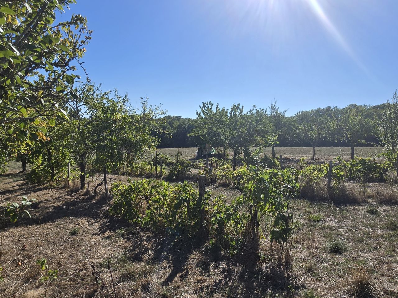 Vue 19 de Maison Périgourdine avec dépendance sur terrain de 5ha85