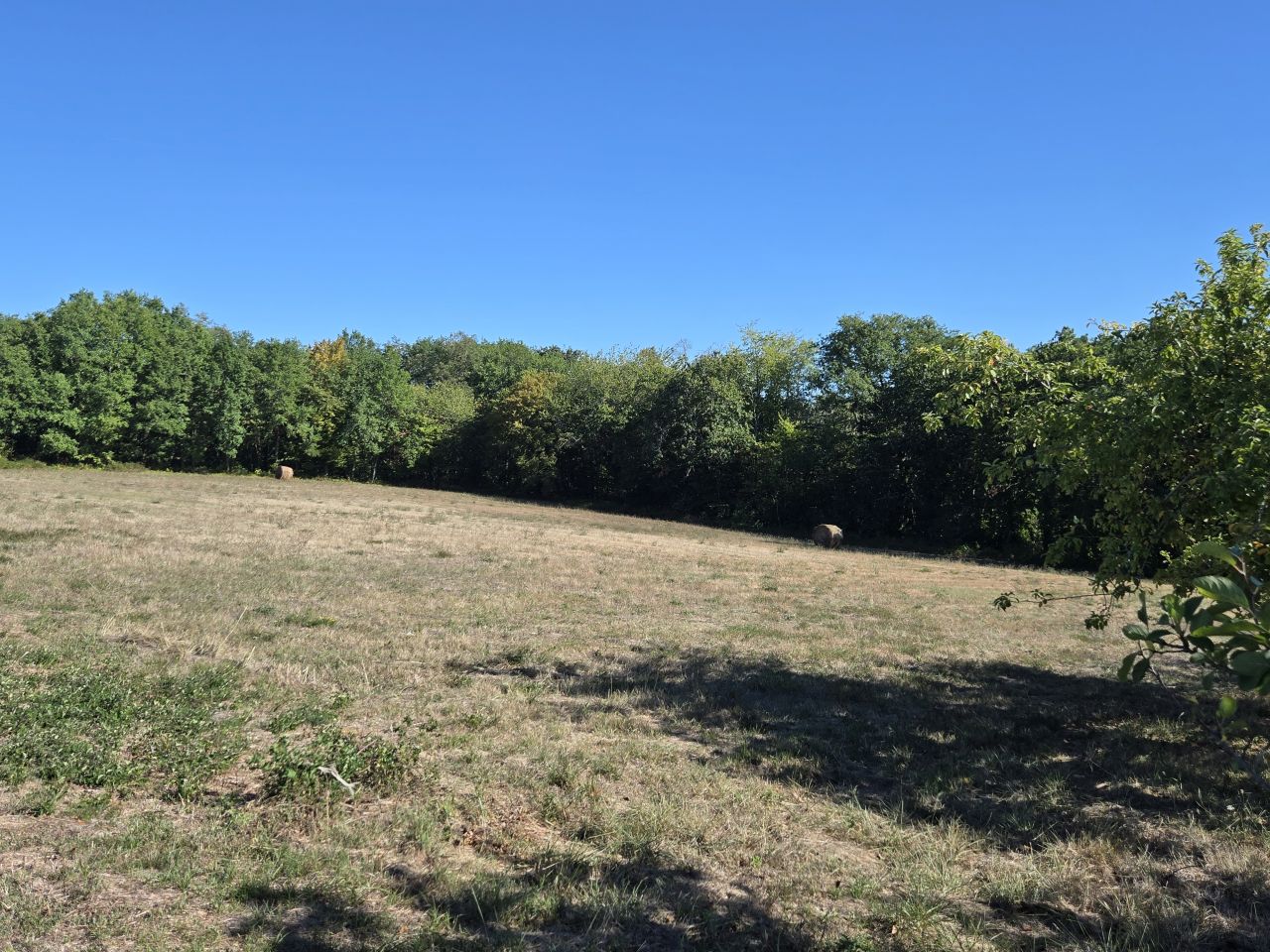 Vue 21 de Maison Périgourdine avec dépendance sur terrain de 5ha85