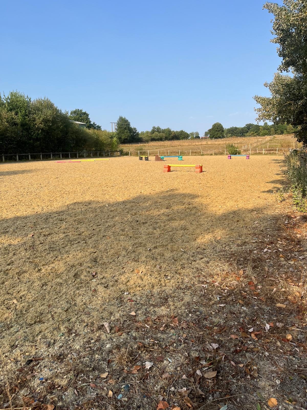 Vue 4 de Domaine équestre - Toulouse (31) - 10 hectares