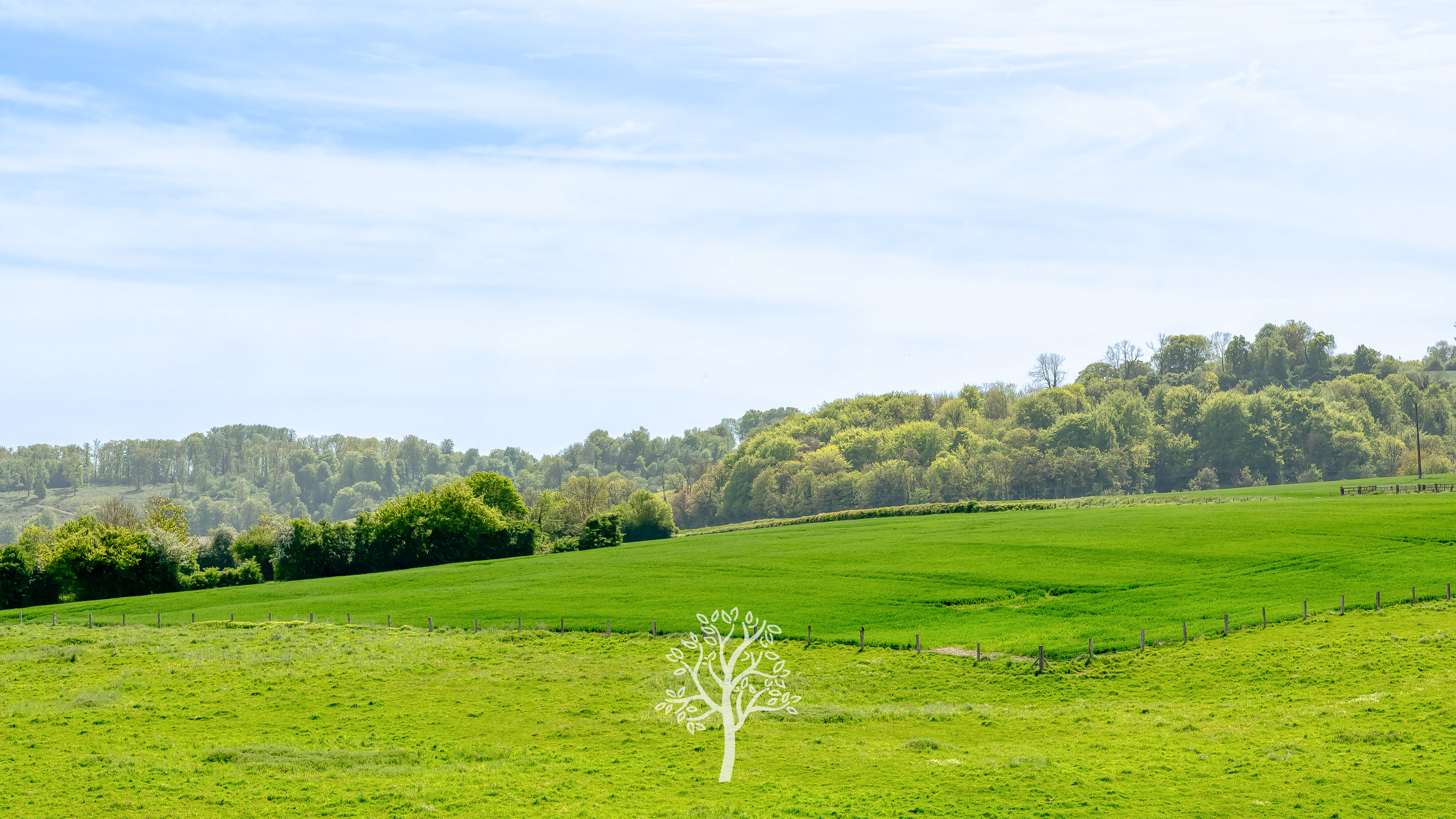 Vue 12 de Propriété à vendre avec dépendances et prairies en Pays de Bray