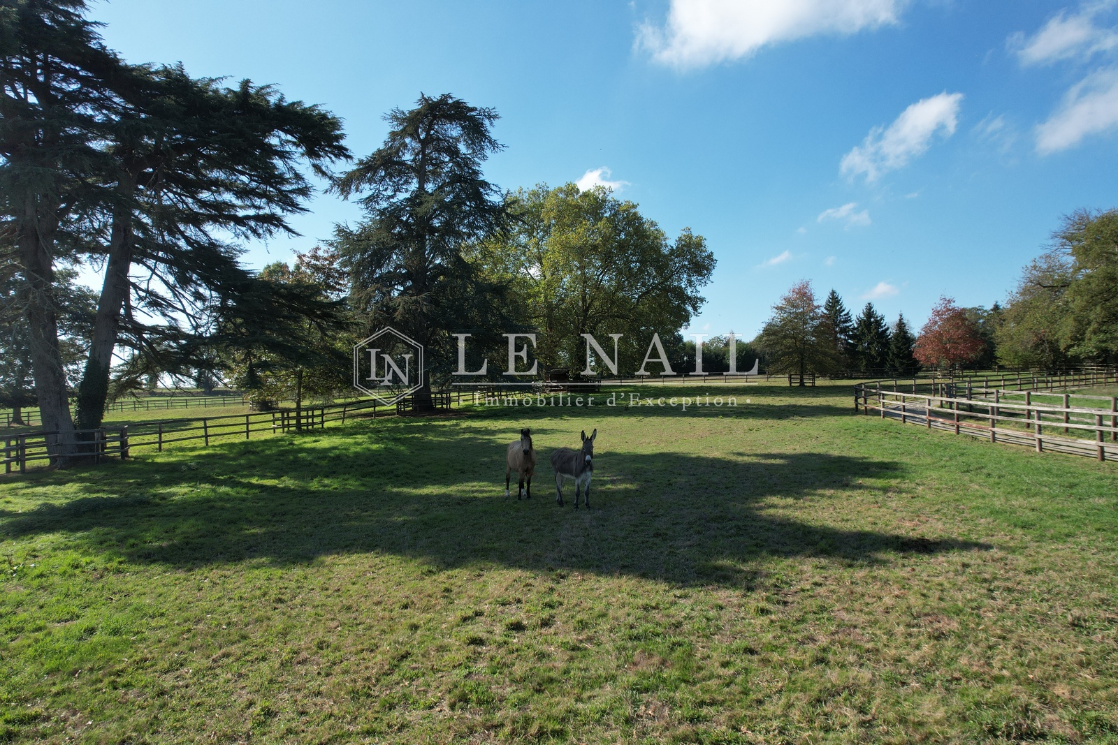 Vue 18 de Entre Rennes et Vitré, manoir du XVIIIe siècle, sa chapelle et son domaine équestre de 12 hectares