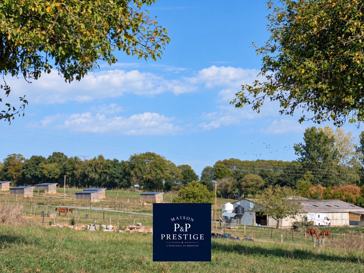 Vue 3 de Haras sur environ 20,5 hectares – 21 boxes, piste de 900 mètres et maison en pierre